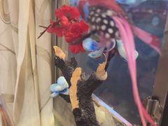 -花鸟鱼私家小厨(文殊院店)