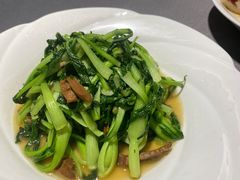 蚌肉鸡毛菜-汇瀛轩