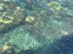 -三亚西岛海洋文化旅游区