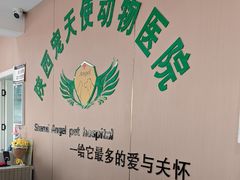 -天使宠物医院·犬猫分诊(彩虹店)
