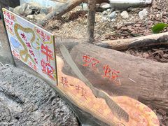 -正佳雨林生态植物园