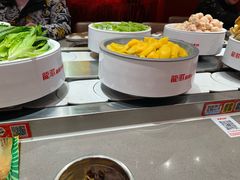 -龍歌自助小火锅(雨花台江南虹悦城店)