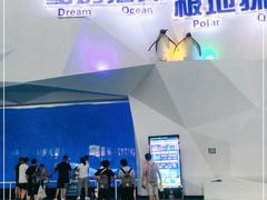 -泉城欧乐堡海洋极地世界
