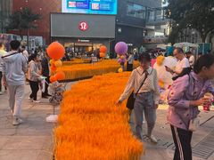 -中粮·祥云小镇