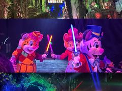 -广州长隆国际大马戏