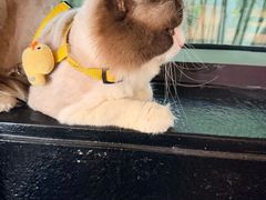 -苏州环秀晓筑养生度假村