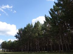 -塞罕坝国家级自然保护区