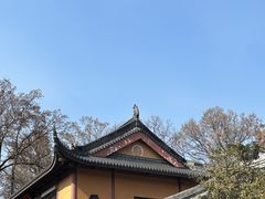 -灵谷景区
