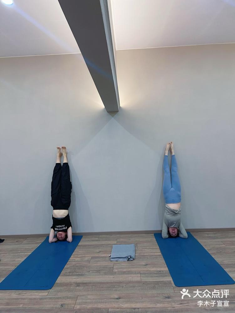 瑜伽体式之王倒立