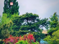 -国家植物园南园