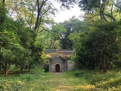 -灵谷景区
