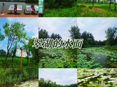 -翠湖国家城市湿地公园