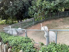 -深圳野生动物园