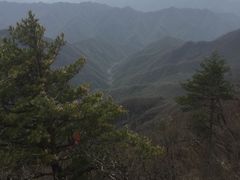 -牛背梁国家森林公园