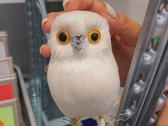 -晋阳饭庄(虎坊桥店)