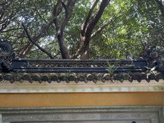 -普陀山慧济禅寺