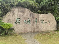 -荷塘月色湿地公园·向阳花洲