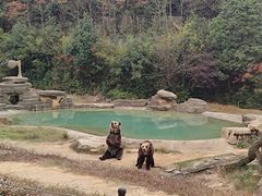 -杭州野生动物世界