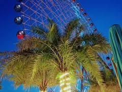 -三亚海昌梦幻海洋不夜城