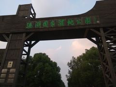 -溱湖国家湿地公园