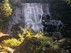 -藏龙百瀑风景区