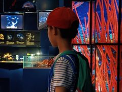 -同济大学四平路校区深海探索馆