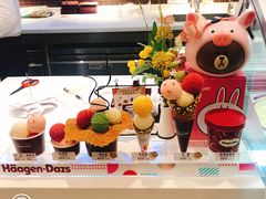 -哈根达斯(石家庄北国店)