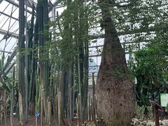 -南山植物园