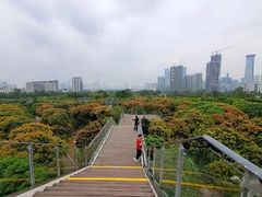 -深圳湾公园(南山区)