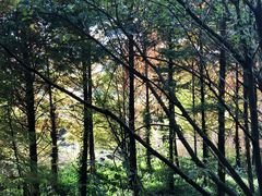 -贵阳市花溪国家城市湿地公园