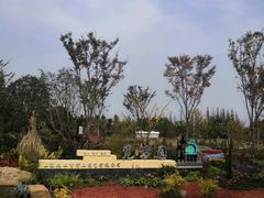 -上海长兴岛郊野公园