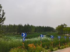 -东郊湿地公园