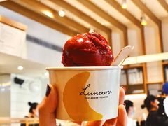 黑加仑雪葩-Luneurs(幸福里店)