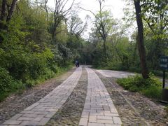 -紫金山山顶公园