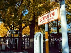 -三里屯东五街银杏大道