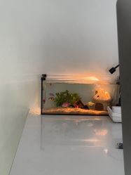 -HEYAN荷妍专业脱毛连锁机构
