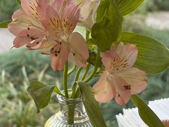 -浙江西子宾馆·瑶园咖啡厅