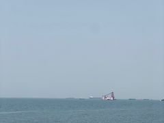 -上海滨江森林公园
