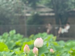-莫催咖啡