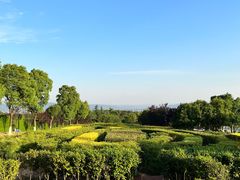 -铁山坪森林公园