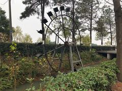 -合肥滨湖国家森林公园