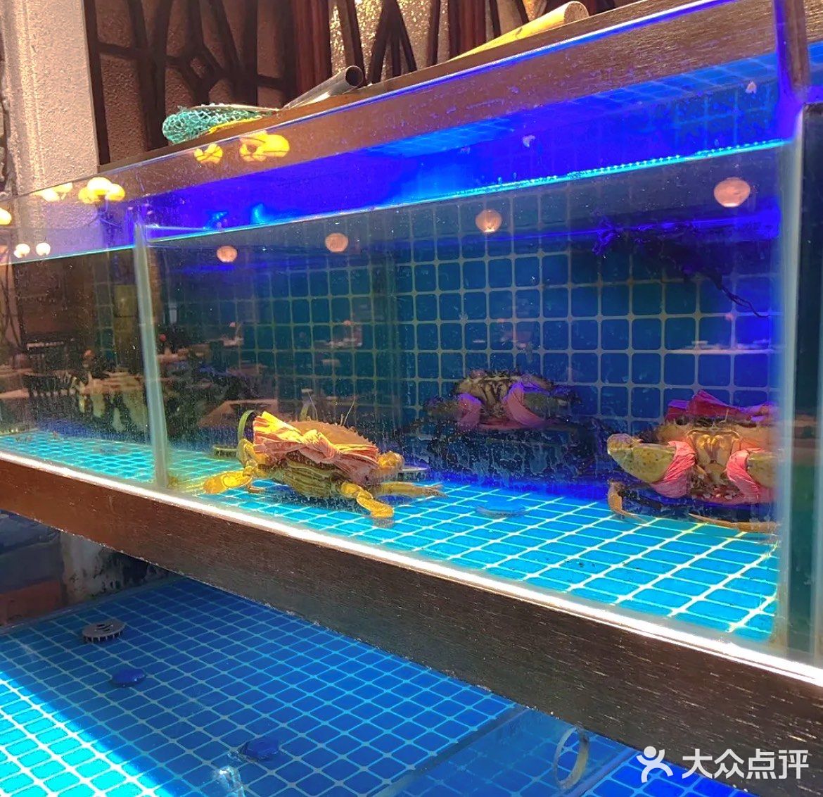 来了无数次的街道口粤菜招牌