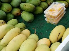 android_upload_pic-白城沙滩