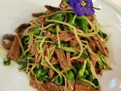 凉拌豆苗-伊祥·敦煌楼