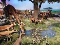 -国家自然博物馆