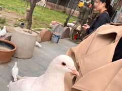 -晋国博物馆