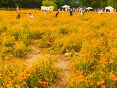 -长广溪湿地公园