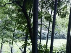 -敬亭山风景名胜区