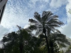 -香港大学