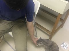 -瑞鹏宠物医院华南总院·夜诊·心脏科·骨科